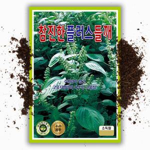 참진한플러스 들깨씨앗 400g 국내산 들기름 들깨 종자 대용량 씨앗