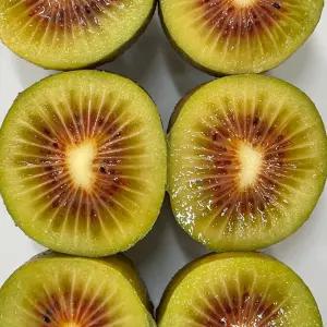 국내산 제주키위 레드키위 참다래 1.5kg / 중과[50-70g 내외]