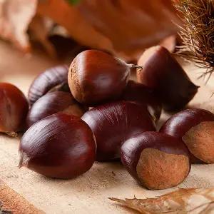 [전청프레시] 국내산 햇 단밤 부여밤 대/특 (1kg)