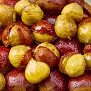 잘 까지는 촉촉한 군밤용 포르단밤 특대 5kg