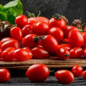 황금열매 전라남도 대추방울토마토 5kg 4번과