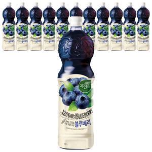 [소비기한 임박] 자연은 블루베리주스, 1.5L, 12개
