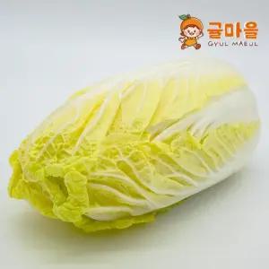 귤마을 국내산 알배추 12수 5.5-8kg