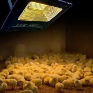 태양광 온열등 새장 조류 난로 히터 온열 겨울 케이지