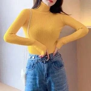 여성 겨울 예쁜 터틀넥 부드러운 골지 니트 목폴라 티
