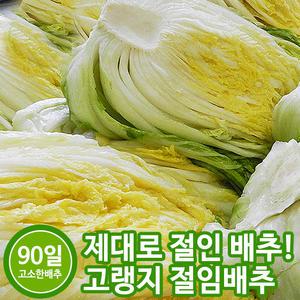 (예약일 지정) 강원도 고랭지 절임배추 20kg