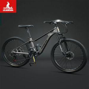 풀샥 자전거 MTB 산악 Phillips 유압