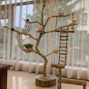 앵무새 횟대 그네