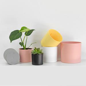 마이플랜트 컬러 포트볼 화분 커버 가리개 플라스틱 화분 인테리어 분갈이