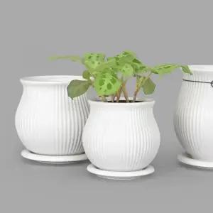 마이플랜트 줄무늬 단지팟 세라믹 화분 인테리어 도자기 화분받침 세트 14호 17호