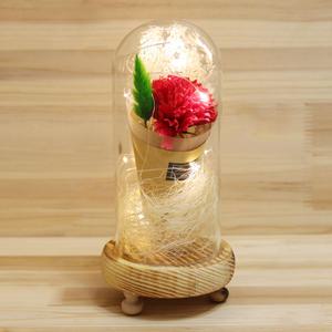 [공방 라라수] 카네이션 LED 무드등 : 용돈박스