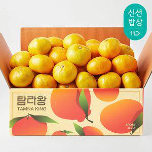 [탐라왕]제주 타이벡 노지 감귤 4.5kg 중대과