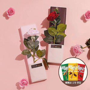 꽃보다 예쁜 너에게 감성 장미꽃 + 빼빼로(2개입) SET