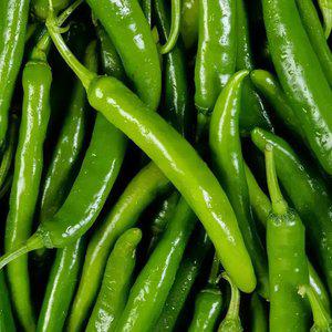 [산지플러스] 수분가득 아삭이 국내산 오이고추 1kg 상