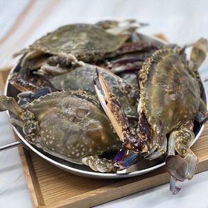 국내산 급냉 선동 숫꽃게 1kg