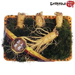 [대명이네 인삼농장]6년근 수삼 왕왕대 1채 인삼 선물세트(4뿌리/750g)