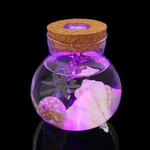 마리모 키우기병 LED 아크릴 공병 마리모어항 유리병