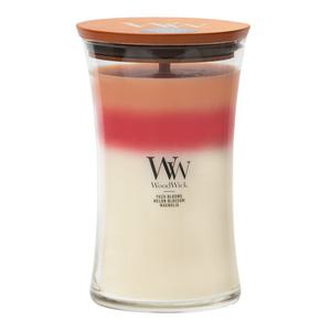 우드윅 병향초 라지 19종 