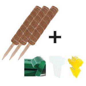 [모두다] 식물지지대 수태봉 몬스테라수태봉 코코봉 코코봉지지대 코코넛봉 화분지지대