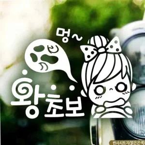 왕초보 운전 스티커 여성 반사 라벨 뒷유리 시트지 차선변경 주행연습 도로연수 귀여운