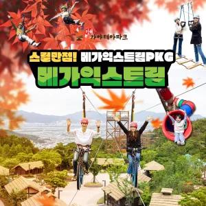 김해가야테마파크 입장권+메가익스트림(타워/사이클/플라잉/드래곤네트)