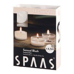 클리어라이트 향초 24개 투명컵 티라이트 SPAAS