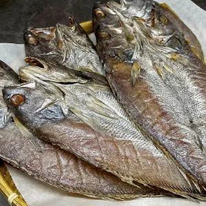 반건조 민어 5미