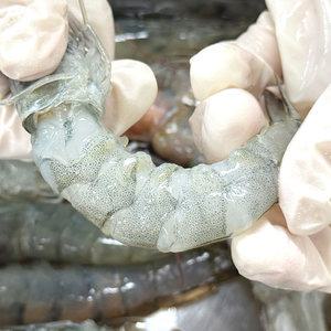 농가살리기 국내산 전라남도 손질 깐 흰다리 새우살 500g(40미내외)