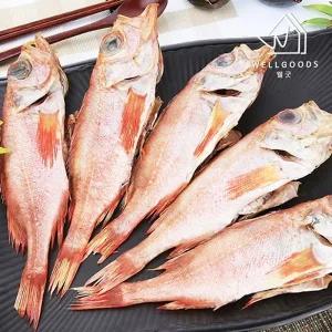 [속초반건조]쫄깃쫄깃 담백한 특대 반건조 열기 5미(29cm이상)