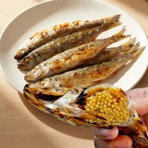 [산지플러스] 알이 꽉찬 제철 햇 동해안 도루묵 500g