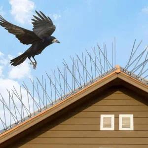 고양이 조류퇴치 버드스파이크 스텐 블럭 비둘기 12set