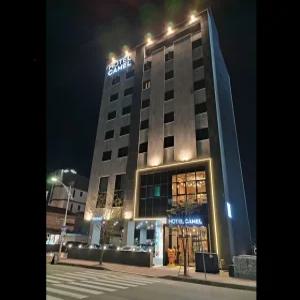 [강원 호텔] 속초 관광 비즈니스호텔 카멜 (속초,고성)