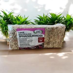 뉴질랜드수태 AA 150g,500g 풍란 이끼 석곡 토피어리 수태봉만들기