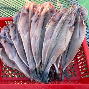 [롯데백화점]인정식탁 연자매수산 쫀득쫀득 국내산 반건조임연수 500g내외(4-6미) x 2세트