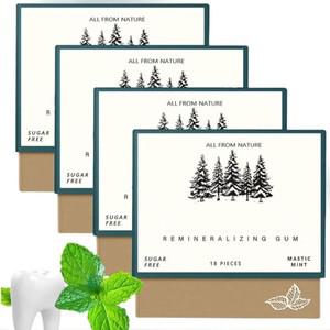 리미네랄라이징 츄잉껌  2025 유기농 천연 매스틱 민트 껌 무설탕 신선한 호흡 치아 건강 에나멜 케어 4박