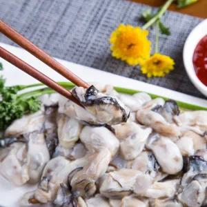 제철 통영 생굴 2kg 최상급 깐굴