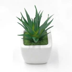 [골드스마일]SFW 미니 다육이 사각화분 조화