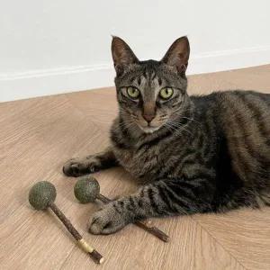 [콩심팥심]캣잎 뚜또가또 고양이 사탕 캣닢 스틱 2개입