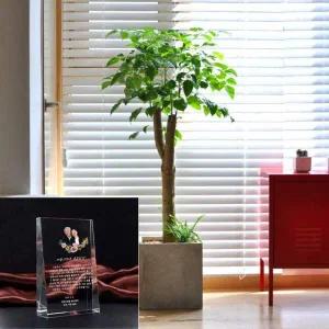 [콩심팥심]크리스탈 감사패+ 녹보수 취임식 고급선물세트