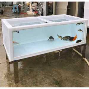 수산시장 대형 수족관 아크릴 수조 거북이 활어 어항