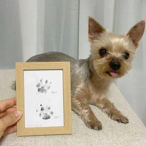 [콩심팥심]강아지 발도장 액자 반려견 발자국 셀프 스탬프 강아지발도장액자