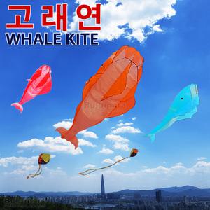 고래연 (대형연 물고기연 동물모양 민속놀이 체험학습)