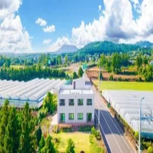 [제주] 제주 춘자네 펜션(제주펜션/서귀포펜션/서귀포제주 춘자네 펜션)