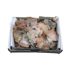 도원피싱 명주조개 묶음바늘 감성돔 원투 미끼 돌돔