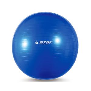 DD 스타 짐볼 55cm ( 요가 헬스 필라테스 스트레칭 재활훈련 크런치 브릿지 공 볼 운동