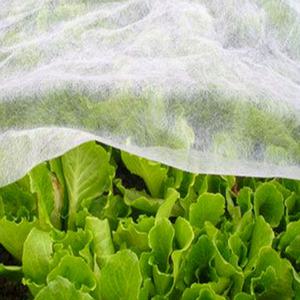 못자리 부직포 20g 10m 소포장 보온 냉해 서리 방지 마늘 양파 상추 시금치 월동 덮개 한랭사