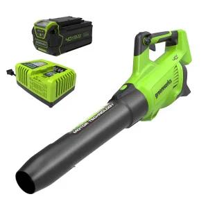 신형 그린웍스 40V 충전식 엑시얼 엑시엘 브로워 730 (5.0Ah 배터리1+충전기1) 낙업 제설 청소기