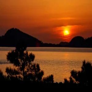 [충남] 골든웨이브(충남, 태안)