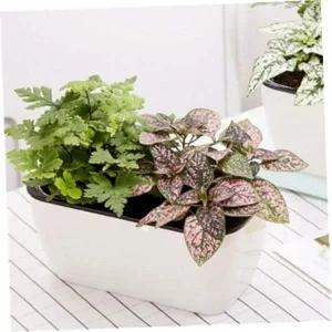 [셀러에이드]자동급수화분 플랜트 사각 자동급수 화분 식물키우기 저면관수화분