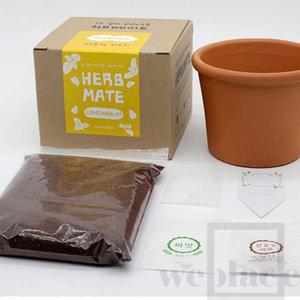 위플레이스 레몬밤 키우기 레몬밤화분 화분세트 식물재배기 씨앗선물 허브씨앗 식물키트